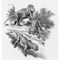 Saurosuchus/Scaphonyx scene   (c) John Sibbick