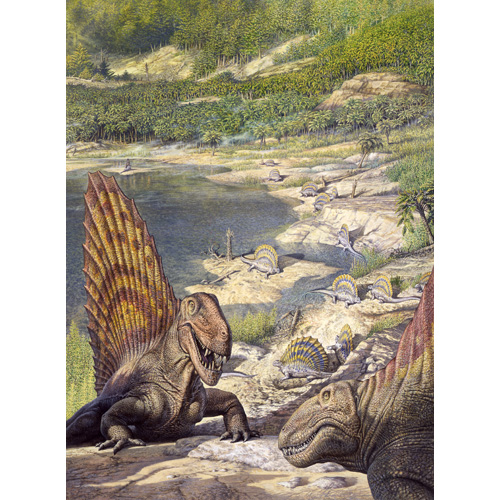 Dimetrodon and Edaphosaurus scene  (c) John Sibbick