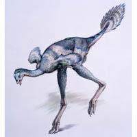 Caudipteryx  (c) John Sibbick
