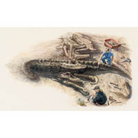 Digging up Tyrannosaurus rex  (c) John Sibbick