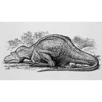 Albertosaurus sleeping (c) John Sibbick