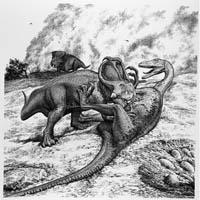 Protoceratops and Velociraptor  (c) John Sibbick