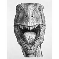 Deinonychus portrait, front  (c) John Sibbick