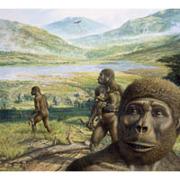 Australopithecus africanus scene  (c) John Sibbick