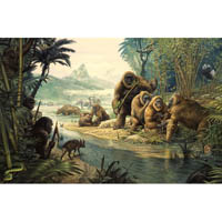 Gigantopithecus and homo erectus scene (c) John Sibbick