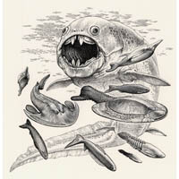 Dunkleosteus & composite early fish - Devonian  (c) John Sibbick
