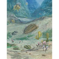 Cambrian scene with trilobites  (c) John Sibbick