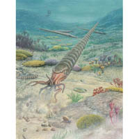 Ordovician scene with cephalopods  (c) John Sibbick