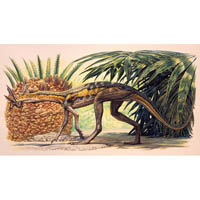 Lagosuchus scene  (c) John Sibbick