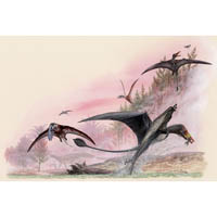 Eudimorphodon / Peteinosaurus (c) John Sibbick