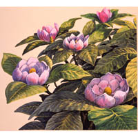 Cretaceous (magnolia) (c) John Sibbick