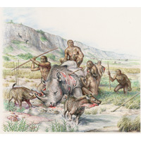 Boxgrove man butchering  rhino  (c) John Sibbick