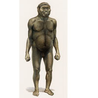 Homo habilis (c) John Sibbick
