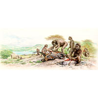 Homo habilis at Olduvai (c) John Sibbick