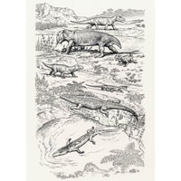 Early Triassic Rybinskian fauna (c) John Sibbick