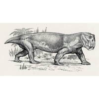 Lystrosaurus (c) John Sibbick