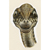Troodon portrait 